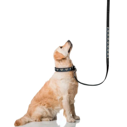Dog Walk